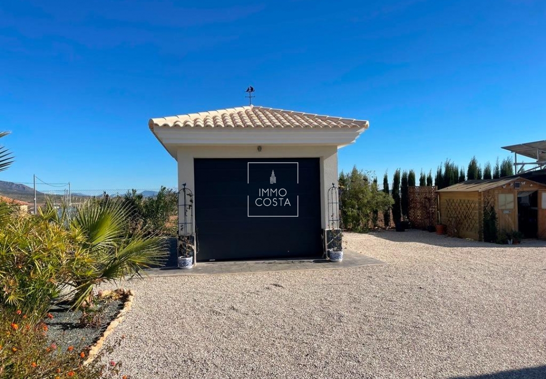Nouvelle construction - Villa - Pinoso