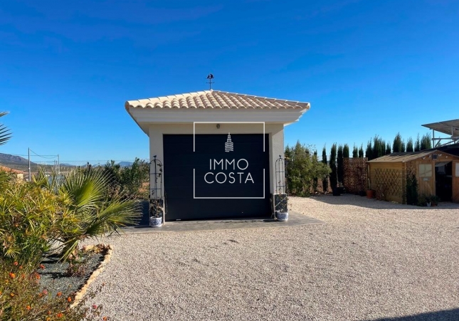 Nouvelle construction - Villa - Pinoso