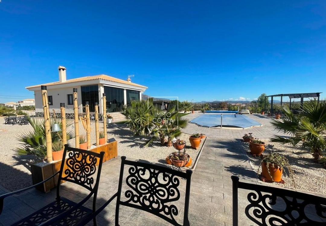 Nouvelle construction - Villa - Pinoso