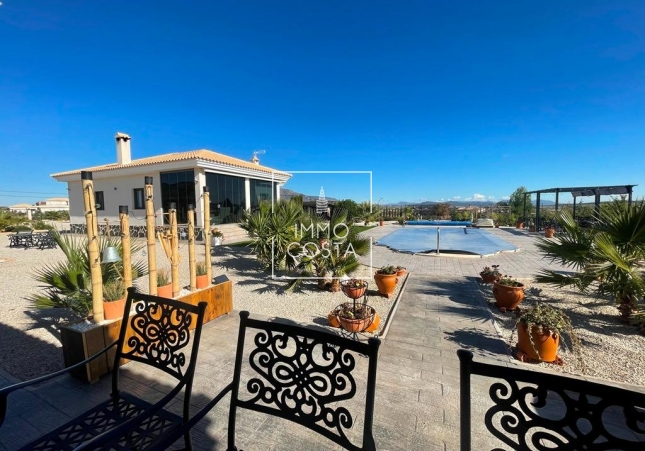 Nouvelle construction - Villa - Pinoso
