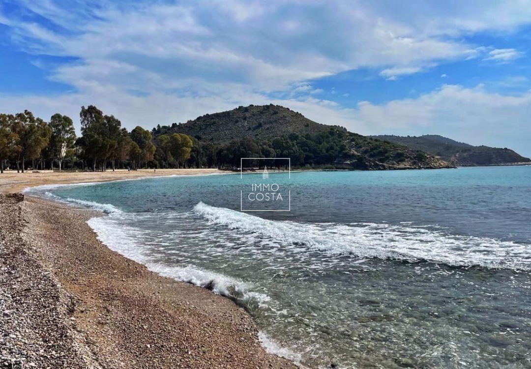 Neubau - Ground floor apartment - Villajoyosa