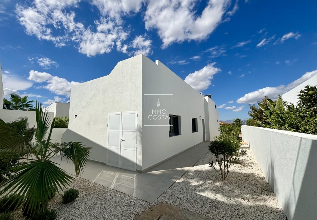 Новое здание - Villa - Rojales