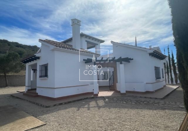Новое здание - Villa - Fuente Álamo