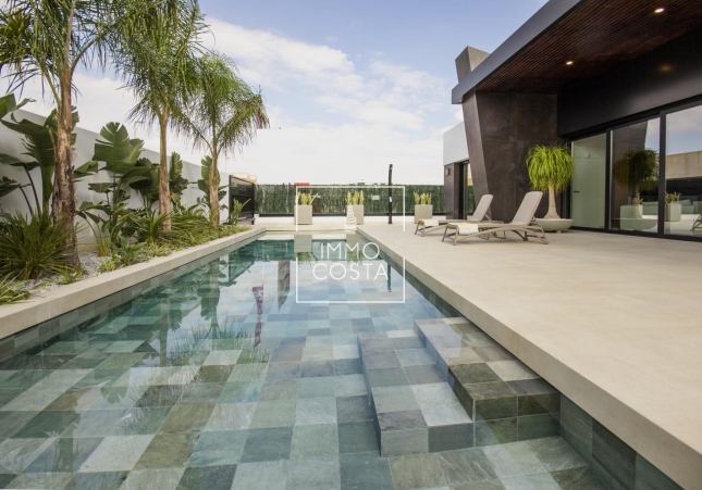 Новое здание - Villa - Rojales