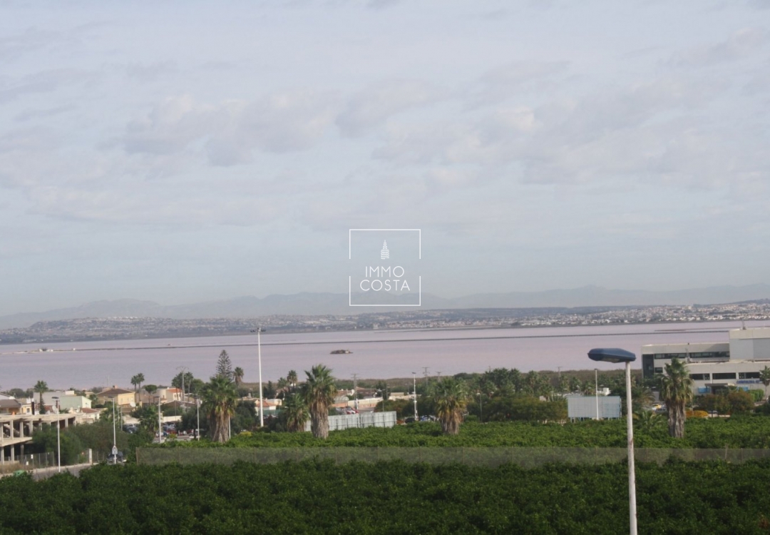 Nowy budynek - Kamienica - Torrevieja