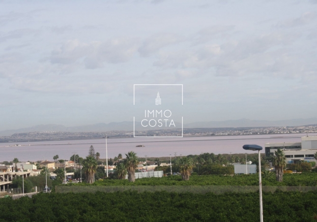 Nowy budynek - Kamienica - Torrevieja