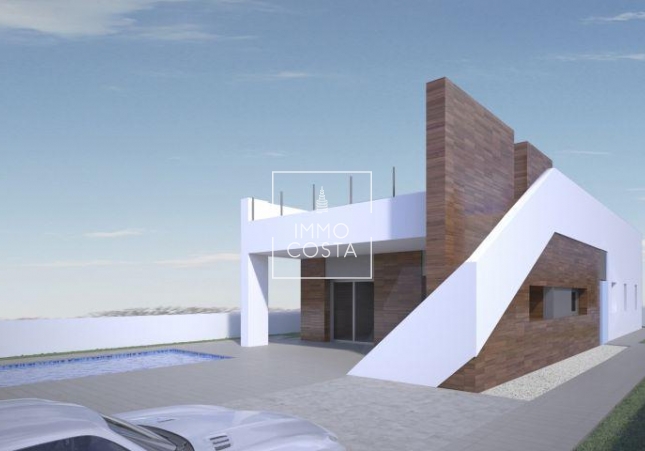 Новое здание - Villa - Aspe