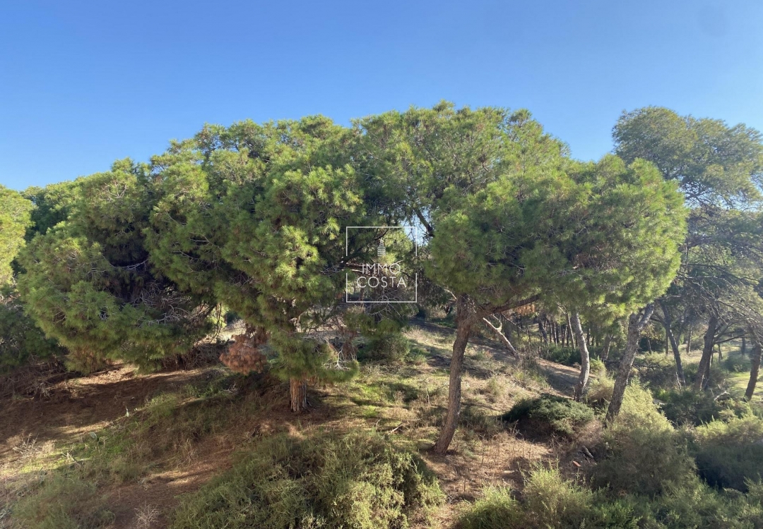 New Build - Ground floor apartment - Guardamar del Segura - Guardamar Del Segura