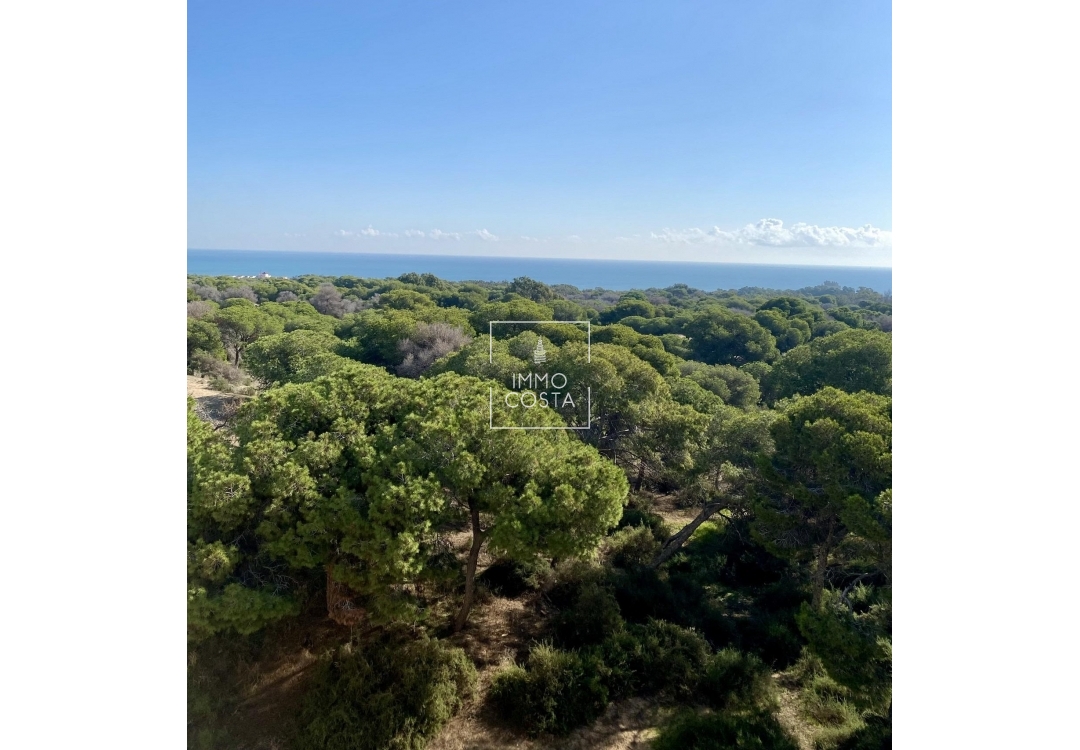 New Build - Ground floor apartment - Guardamar del Segura - Guardamar Del Segura