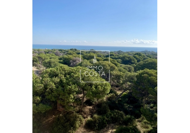 New Build - Ground floor apartment - Guardamar del Segura - Guardamar Del Segura