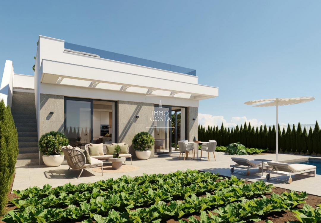 Obra nueva - Villa - Fuente Álamo