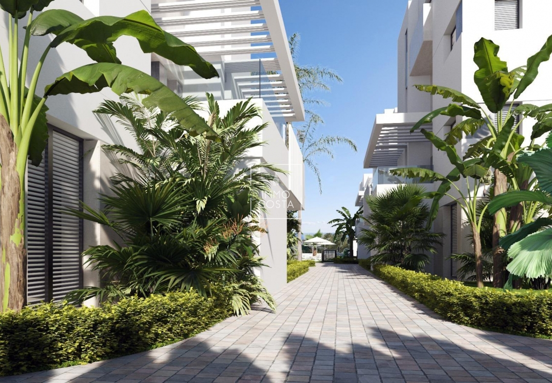 Neubau - Ground floor apartment - Torre Pacheco