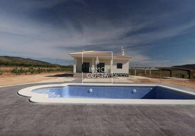 New Build - Villa - Pinoso - Camino Del Prado