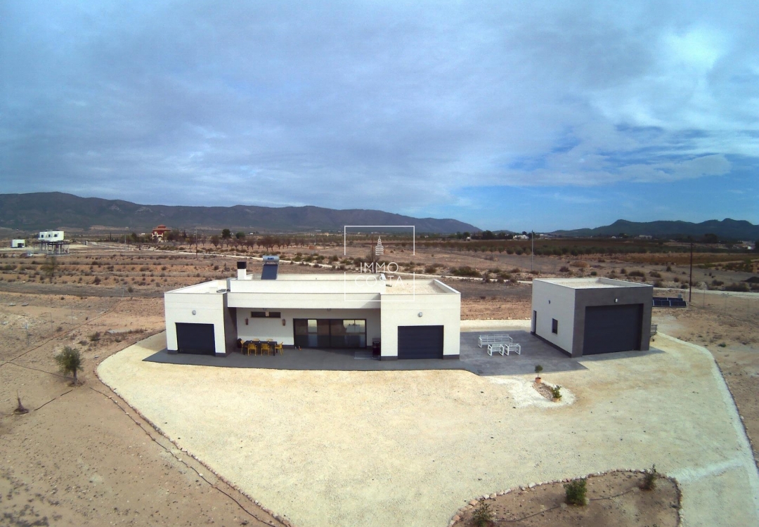 New Build - Villa - Pinoso - Camino Del Prado