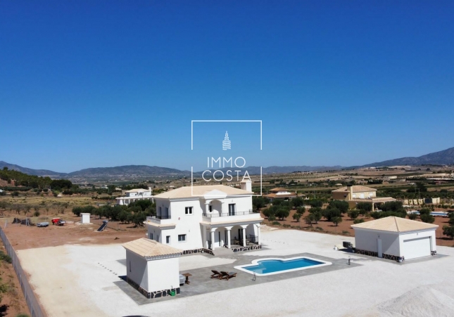 New Build - Villa - Pinoso - Camino Del Prado