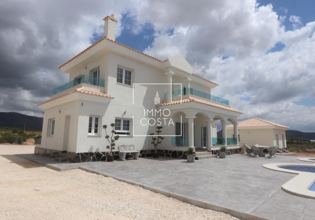 Obra nueva - Villa - Pinoso - Camino Del Prado