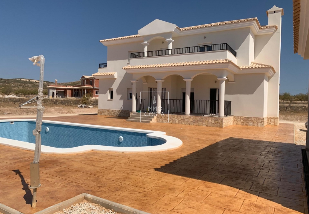 New Build - Villa - Pinoso - Camino Del Prado