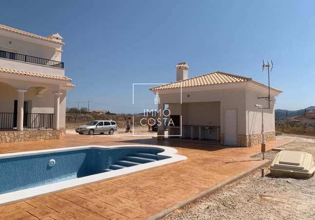 New Build - Villa - Pinoso - Camino Del Prado