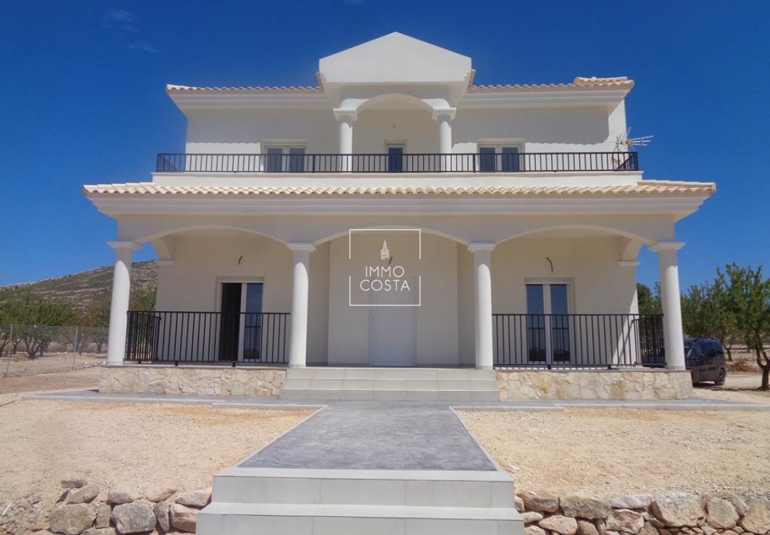 Obra nueva - Villa - Pinoso - Camino Del Prado