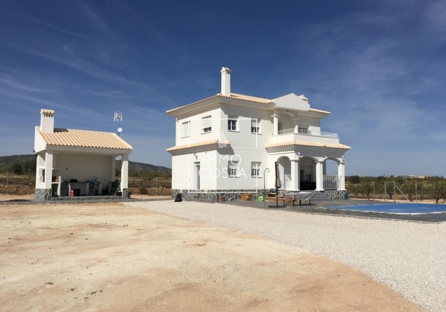 New Build - Villa - Pinoso - Camino Del Prado