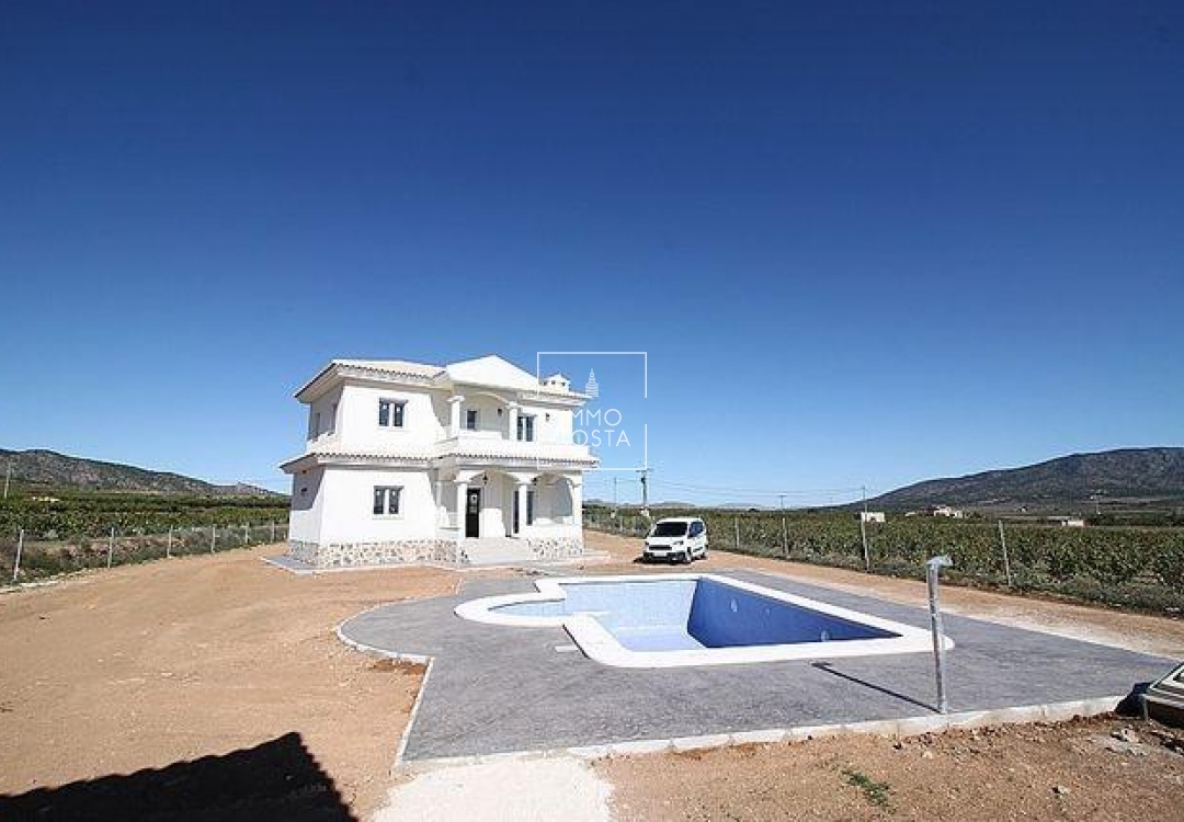 Obra nueva - Villa - Pinoso - Camino Del Prado